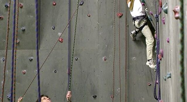 Zwei Menschen klettern an einer Indoor-Kletterwand mit Sicherheitsseilen.