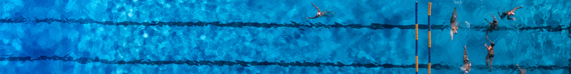 Schwimmer im Wettkampf im Schwimmbecken mit hellblauem Wasser.