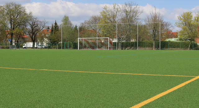 Grüner Kunstrasen Fußballplatz mit Tor und Bäumen im Hintergrund.