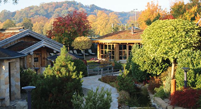 Saunagarten mit Bäumen und Sträuchern sowie Holzsaunen.
