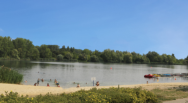 Menschen schwimmen im See mit Sandstrand und Bäumen am Ufer.