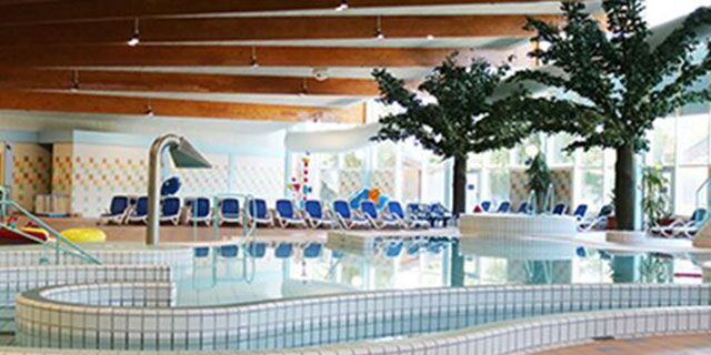 Hallenbad mit Liegestühlen und Palmen im Hintergrund.